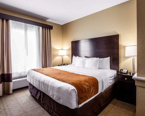 Hotel Comfort Suites Houston Northwest Cy-fair
