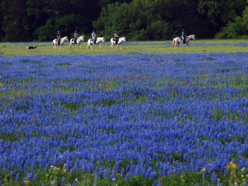 Blisswood Bed And Breakfast Ranch