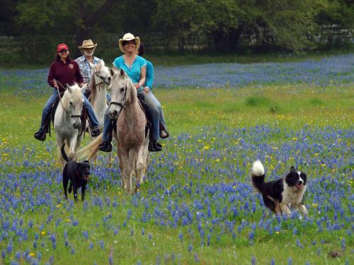 Blisswood Bed And Breakfast Ranch