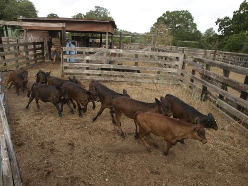 Blisswood Bed And Breakfast Ranch