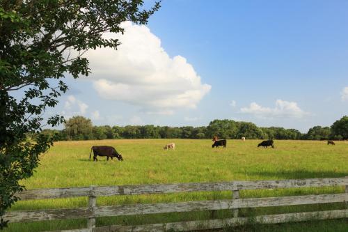 Blisswood Bed And Breakfast Ranch