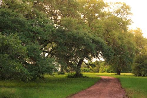 Blisswood Bed And Breakfast Ranch
