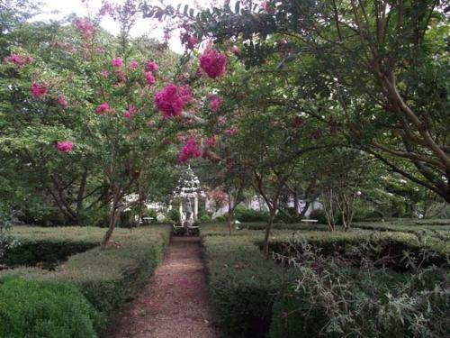 Bed & Breakfast Edgewood Plantation