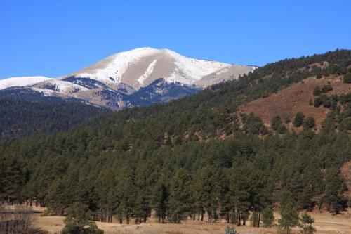 Pinon Park A2, 3 Brs, Deck, Fireplace, Wi-fi, Pets, Sleeps 6