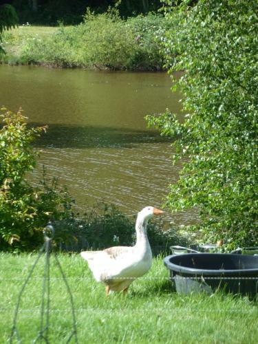 Bed & Breakfast Chambres D'h�tes Logis de L'etang de L'aune