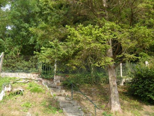 Gite L Oree De La Foret