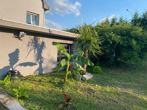Apartamentos Au Paradis D?alsace 55 M2 Nature & Relax