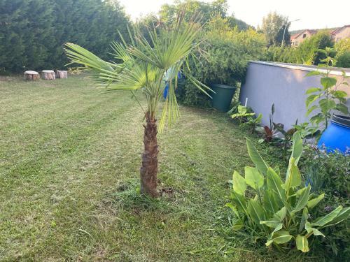 Apartamentos Au Paradis D?alsace 55 M2 Nature & Relax
