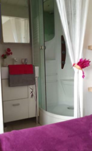 Apartamento T3 50m2 Duplex Centre Ville Honfleur