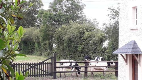 Bed & Breakfast Ferme Du Rupalley