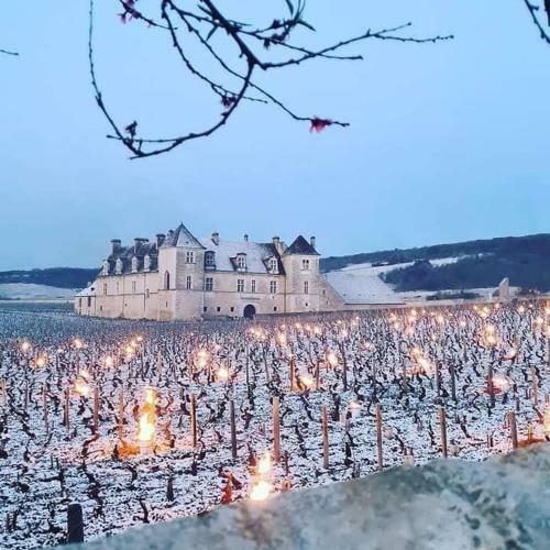 Chez Brigitte