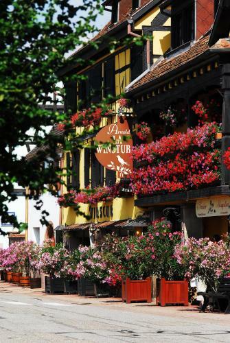 Hotel H�tel Arnold