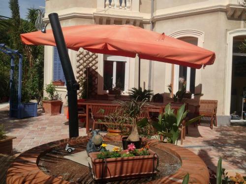 Hostal A L'ombre Du Cedre