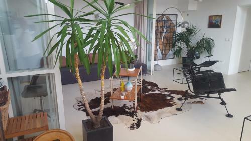 Grand Loft Em33