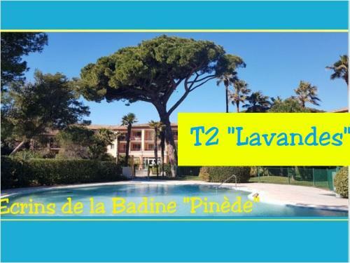 Apartamento Ecrins de La Badine- Pin�de