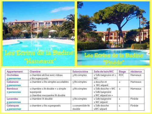 Apartamento Ecrins de La Badine- Pin�de