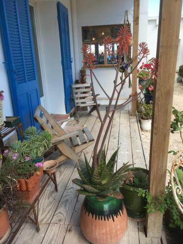Hotel H�tel Lido Beach