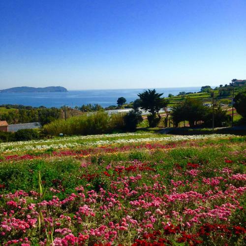 Hostal Simple Life In Provence