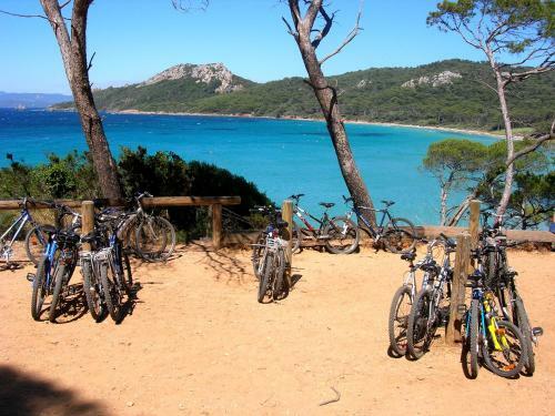 Apartamento Emplacement Id�al Spacieux Clim Centre Hy�res