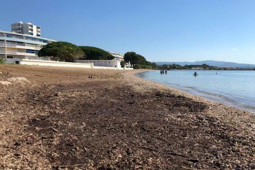 Apartamento Les Pieds Dans L Eau, Vue Sur Les �les D?or