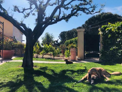 Bed & Breakfast Chambre D H�te Tagada