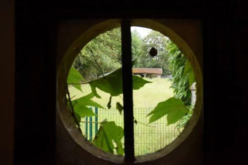 Moulin Dans Un Parc D?�levage � Daims