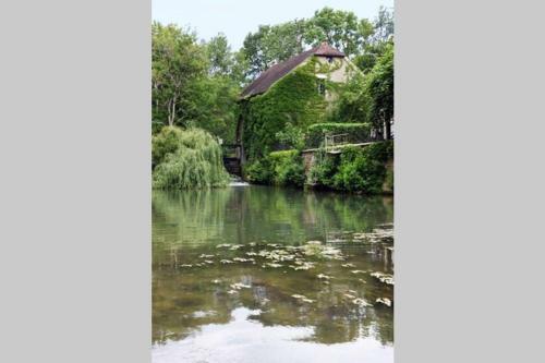 Moulin Dans Un Parc D?�levage � Daims