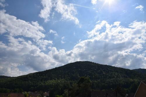 Le Cerisier