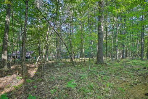 Cozy Adirondacks Cabin Walk To Lake Eaton!