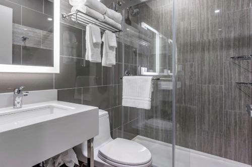 Hotel Comfort Inn Jfk Airport