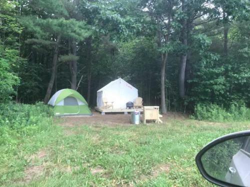 Tentrr Signature Site - Dreamroad Farm Pine Tree