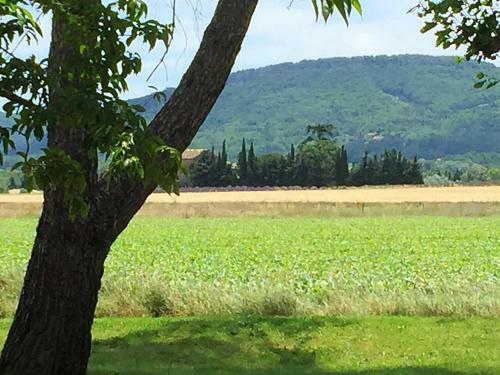 Hostal Le Mas Des Abeilles