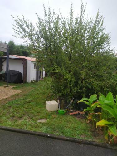 Climatis�, Plage � 5mn, Id�al Pour 2 Personnes