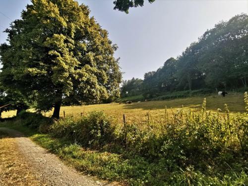 Domaine Lvd Avec Spa, Bois Et Rivi�re Priv�e