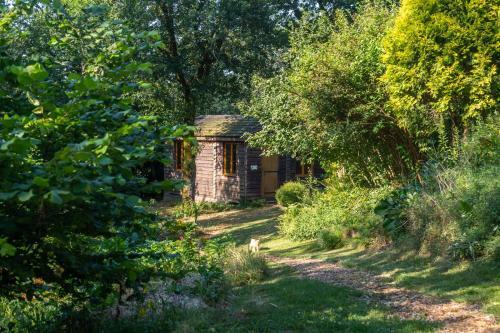 Suite De La Vall�e Des Ch�nes