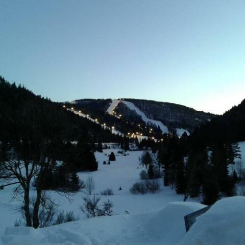 Apartamento La Bresse - Appartement de Charme 3*