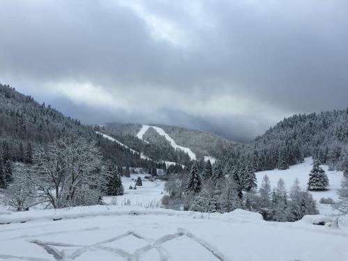 Apartamento La Bresse - Appartement de Charme 3*