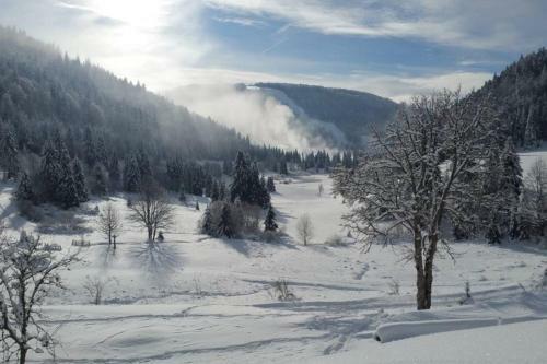 Apartamento La Bresse - Appartement de Charme 3*