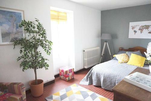 Hostal Du Vignoble � L'atlantique - Ch�teau Cassemich�re