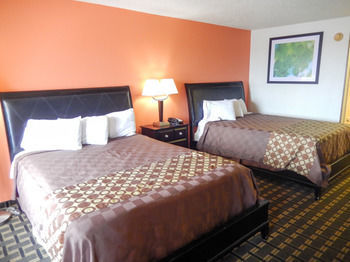 Motel 6 Shamrock