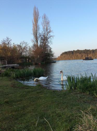Logement De Vacances Erdre Rivi�re
