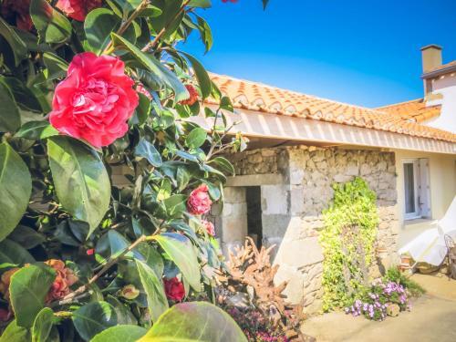 Domaine Des F�es