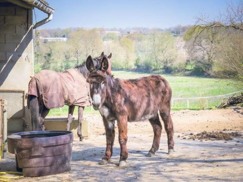 Domaine Des F�es