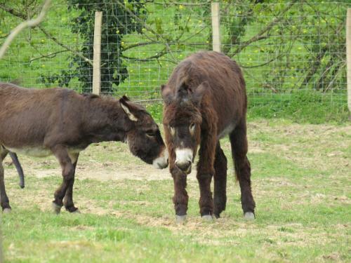 Domaine Des F�es