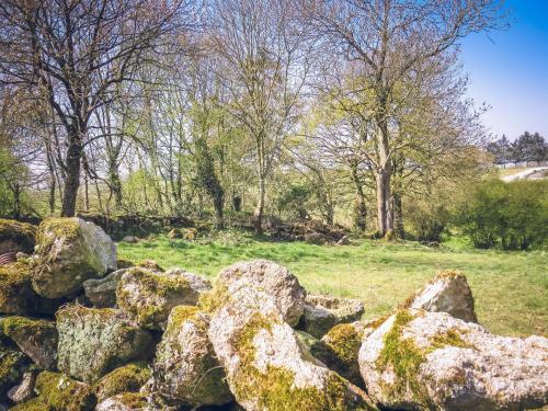 Domaine Des F�es