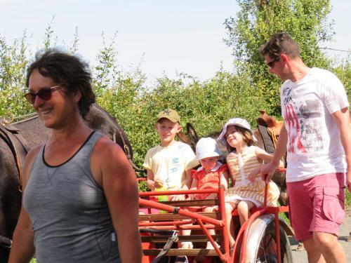 Domaine Des F�es