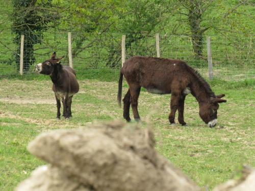 Domaine Des F�es
