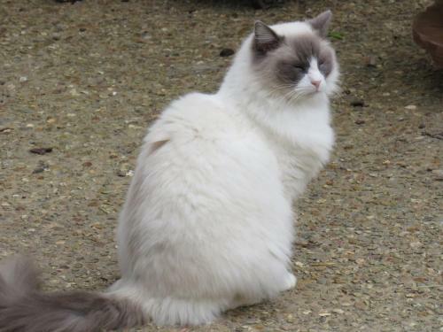 Domaine Des F�es