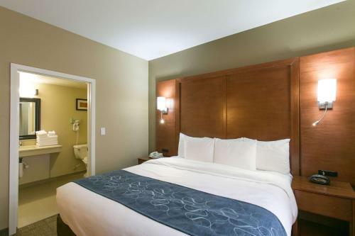 Hotel Comfort Suites Austin Nw Lakeline