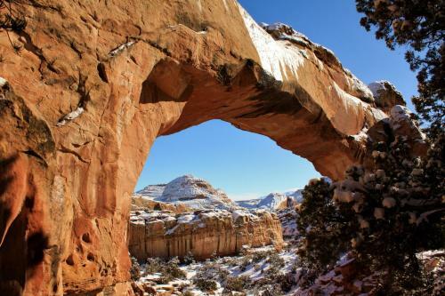 Hotel Affordable Inn Of Capitol Reef